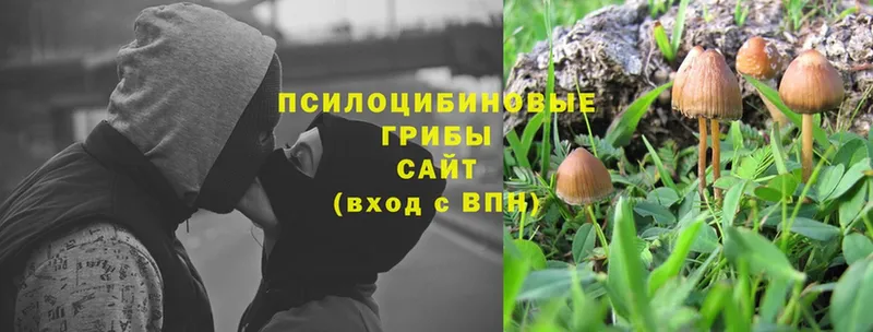 Галлюциногенные грибы MAGIC MUSHROOMS  купить  сайты  Лагань 